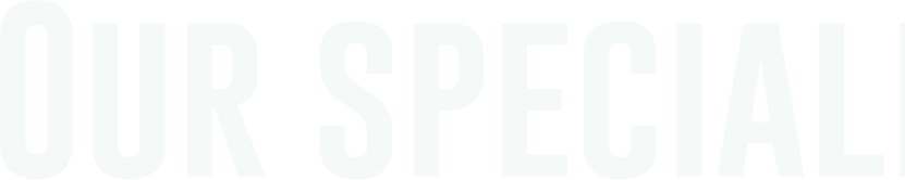 Our specialists